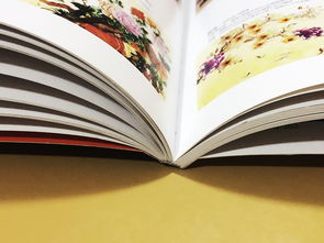 成都百鉑文化 專業打造家具家居產品宣傳畫冊，賦能品牌形象